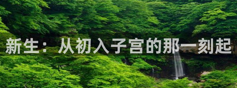 沂水九州麦田影城