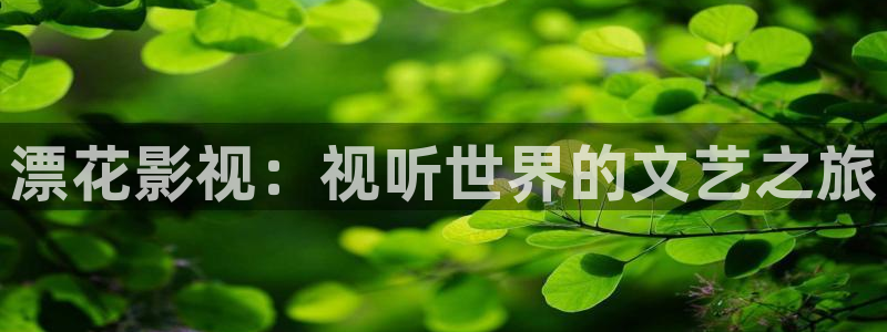 麦田视觉摄影：漂花影视：视听世界的文艺之旅