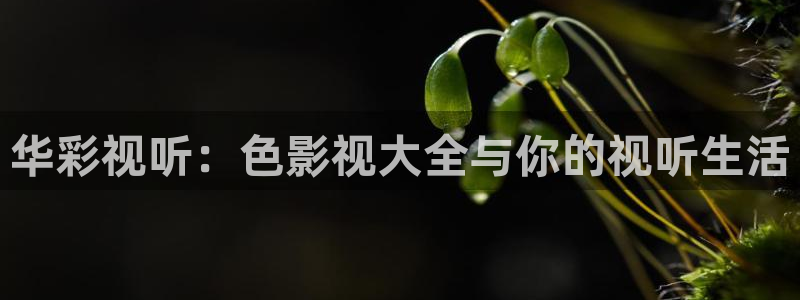 静海麦田电影院明日表