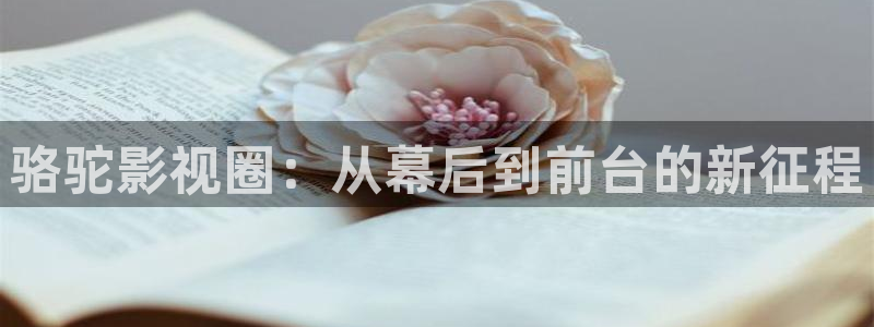 麦田映像摄影怎么样：骆驼影视圈：从幕后到前台的新征程