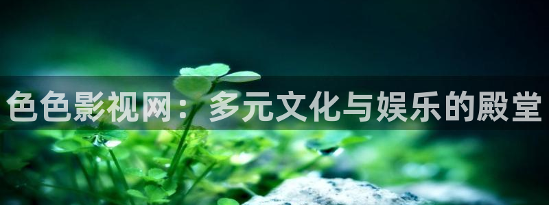 上海麦田