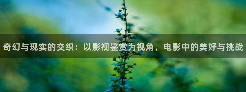 麦田 电影